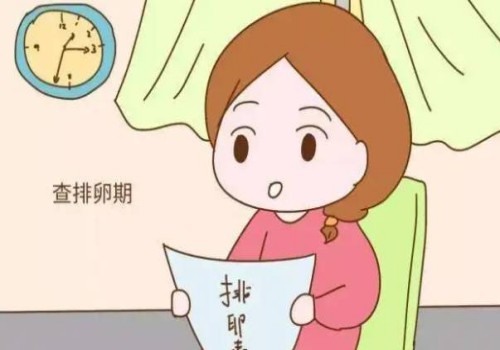 人工授精成功率高不高-还是要看身体健康状况