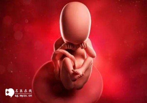 重庆正规助孕机构：胖多囊会月经淋漓不尽！女性朋友需要注意的事项