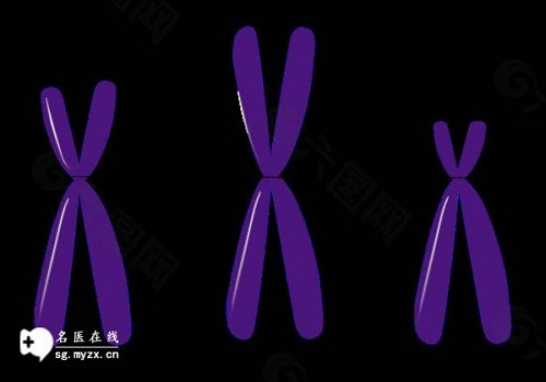 冷冻卵子最佳年龄？冷冻卵子的基本流程就是这样