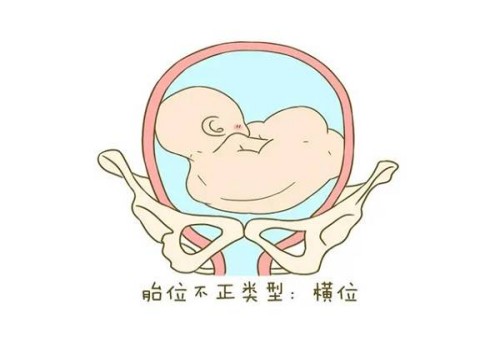 打降调不仅能抑制巧囊，还有这些好处