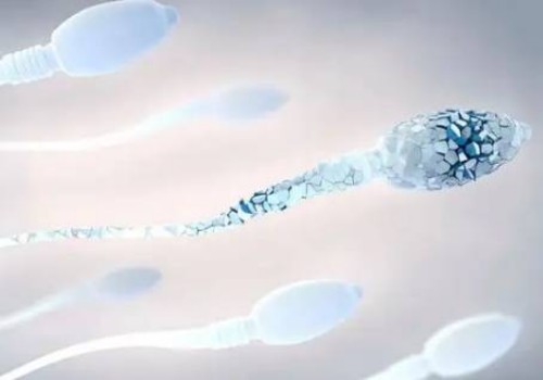 重庆试管助孕公司：孕期体重管理秘籍，值得每一位孕妈收藏