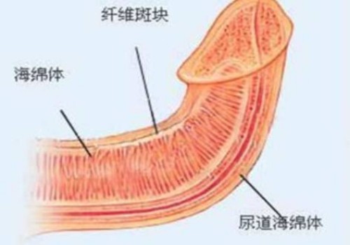 重庆试管助孕公司：儿童脾胃不好的症状表现，家长又该如何解决？