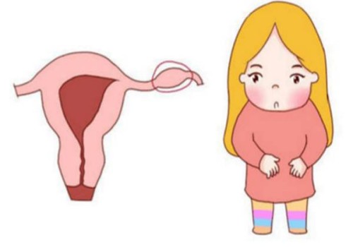 重庆试管助孕价格：怀孕期间吃花旗参的好处，一种营养高的美食补充剂