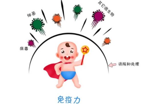 重庆三代试管助孕中心：肾功能三项检查项目解析，这三个项目缺一不可