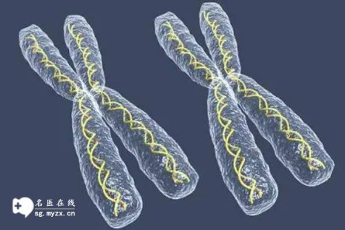 畸胎瘤术后什么时候恢复排卵？不同人的恢复时间不同