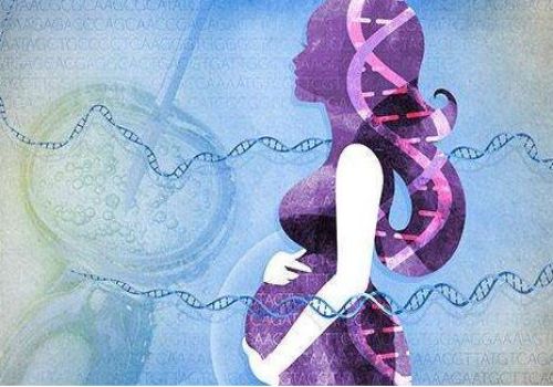 重庆助孕生子：生育险：11个月交险就生育了？能报销吗