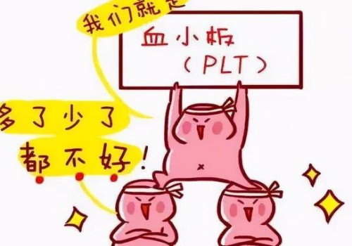 详解三代试管胚胎技术，移植条件并非你想象的那么严格