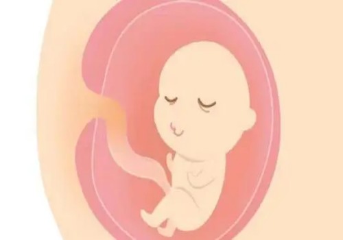精卵不结合可以做试管婴儿成功怀孕吗？看完本篇文章你就知道答案_1