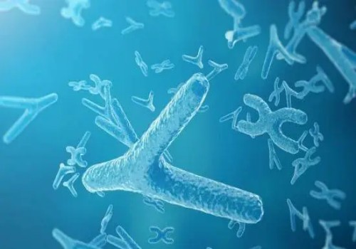 子宫内膜薄别慌，教你这三种调理子宫内膜的中药