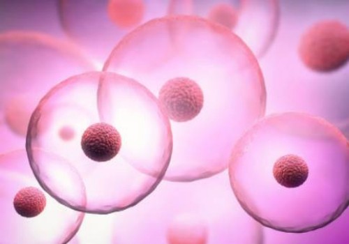 重庆助孕：中信湘雅精子库申请精子流程，及供精试管步骤介绍