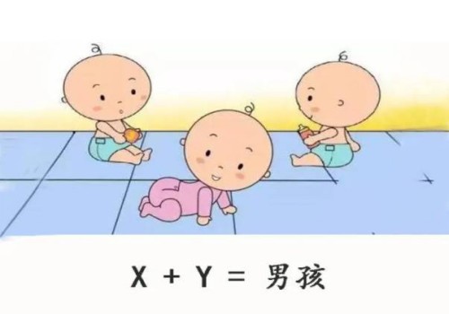国内那些机构可以可以验血测性别？香港检查有这些检测机构
