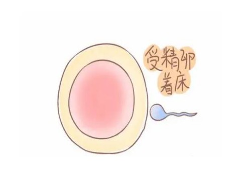 2023西安交大一附院试管婴儿全攻略，三代助孕成功率参考