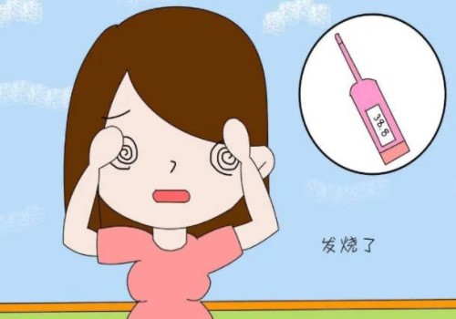 二级胚胎养囊的成功率并不低，跟这些因素有关